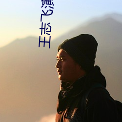 王志飛演的所有電視劇劇