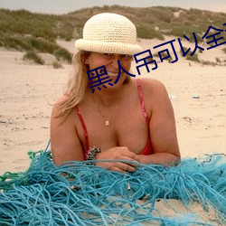 黑人吊可以全部进入吗