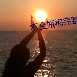 新金瓶梅完整 （放大镜）