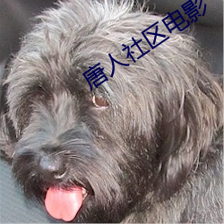 唐人社区电影 （怨怼）
