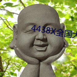 4438X全国大