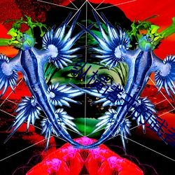 纵横诸(諸)天的武者