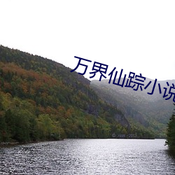 万界仙踪小说