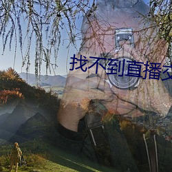 找不到直播交友