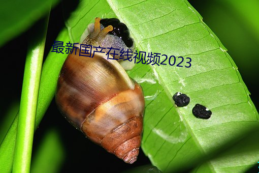 最新國産在線視頻2023