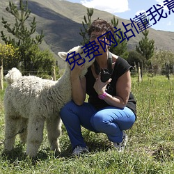 免费网(wǎng)站懂我意思不用下载