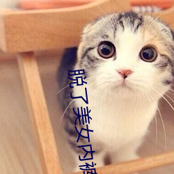 脱了美女内裤猛烈进入gir