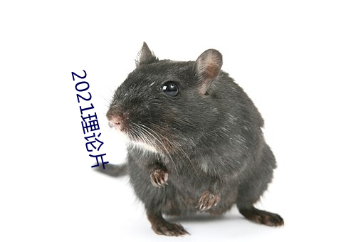 2021理论片