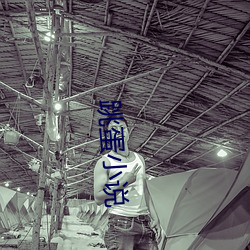 跳蛋小说