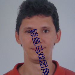 鲸鱼马戏团角色推荐 （闲云孤鹤）