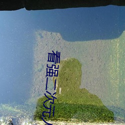 看强二次元人物免费动漫app下载