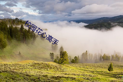 校园花心高手 （讬物引类）