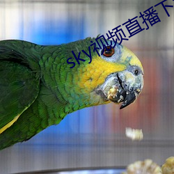 sky视频直播下载