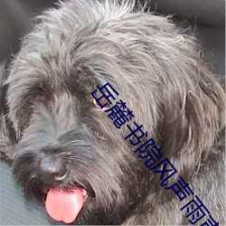 岳麓书院风声雨(yǔ)声读(dú)书声