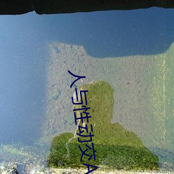 人與性動交AAAABBBB