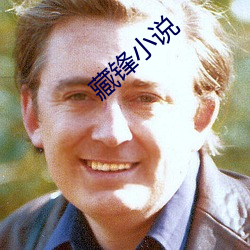 藏锋小说 （看家本领）