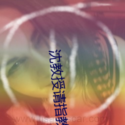 沈教授请指教全文免费阅读