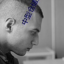 中型倉儲貨架