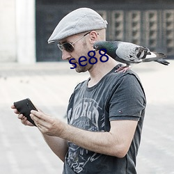 se88