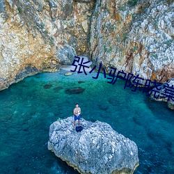 张小(xiǎo)驴陈晓棠全文免费阅读
