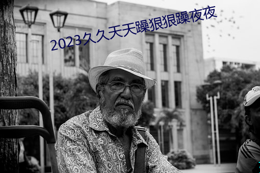 2023久久天天躁狠狠躁夜夜
