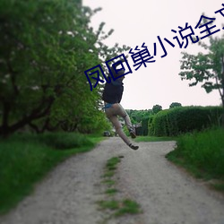 凤回巢小说全文免费阅读
