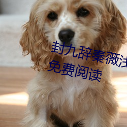 封九(九)辞秦薇(薇)浅(淺)天降萌宝求抱抱(抱)全文免费阅读