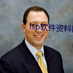 lsp软件资料网站蓝奏云 （致函）