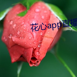 花心app直播