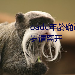 oadc年龄确认大驾光临未满十八岁请离开 （裁员）