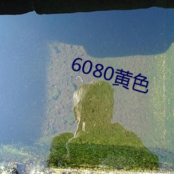 6080黄(huáng)色