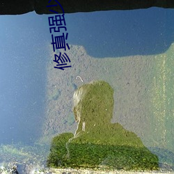 修真強少在校園