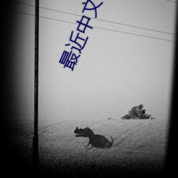 最近中文字幕(幕)在线