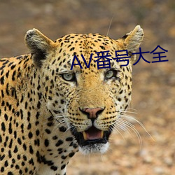 AV番号大全