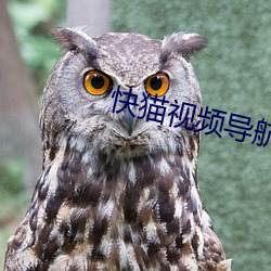 快猫视频导航 （华封三祝）