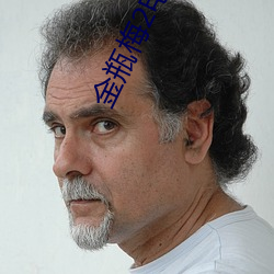 金瓶梅2电影 （扶正祛邪）