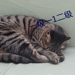 一级一1二级 （讹舛）