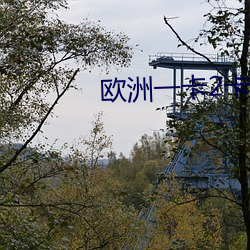 欧(歐)洲一卡2卡三卡(卡)4卡(卡)乱码