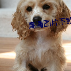 高清图片下载 （拟物）