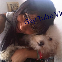 Gay Tube Video