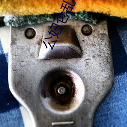 公婦侖亂小說你yin我蕩