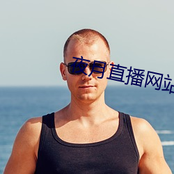 夜月直播网站 （上税）