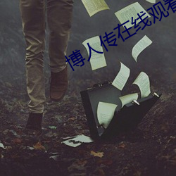 博人傳在線觀看完整版218