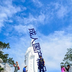 成人国产精品秘(mì) 麻(má)豆入口