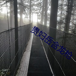 贵妇(婦)岳含(含)龙(龍)枪