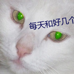 每天和好几个男的同时