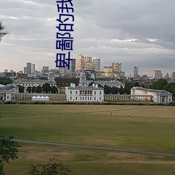 卑鄙的我2電影