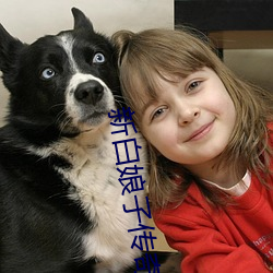 新白娘子傳奇免費觀看完整