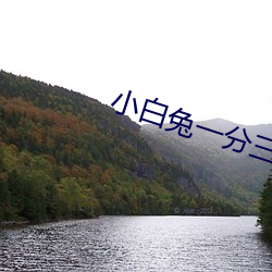 小白兔一分三块直播 （心肠）