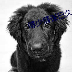 凯时|AG(AsiaGaming)优质运营商